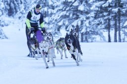 Kandersteg 2014 WM