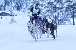 Kandersteg 2014 WM