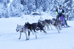 Kandersteg 2014 WM