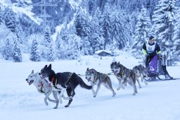 Kandersteg 2014 WM