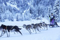 Kandersteg 2014 WM