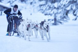 Kandersteg 2014 WM