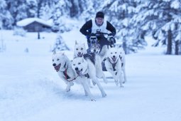 Kandersteg 2014 WM