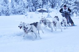 Kandersteg 2014 WM