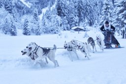 Kandersteg 2014 WM