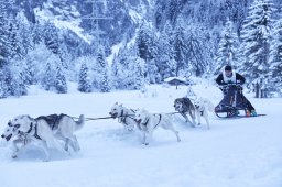 Kandersteg 2014 WM