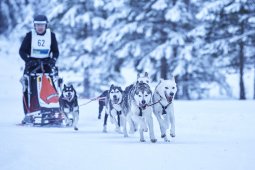 Kandersteg 2014 WM