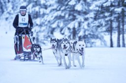 Kandersteg 2014 WM