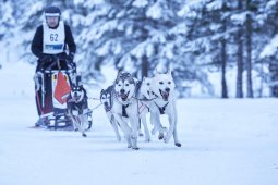 Kandersteg 2014 WM