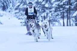 Kandersteg 2014 WM