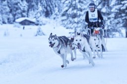 Kandersteg 2014 WM