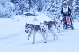 Kandersteg 2014 WM