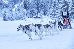 Kandersteg 2014 WM