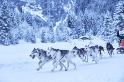 Kandersteg 2014 WM