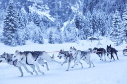 Kandersteg 2014 WM