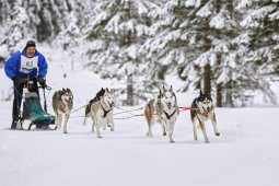 Kandersteg 2014 WM