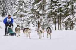 Kandersteg 2014 WM