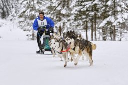 Kandersteg 2014 WM