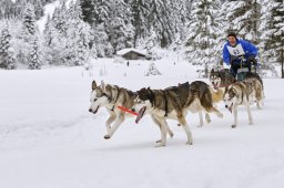 Kandersteg 2014 WM