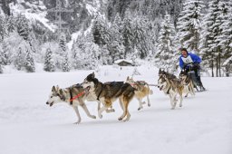 Kandersteg 2014 WM