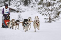 Kandersteg 2014 WM