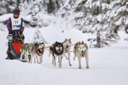 Kandersteg 2014 WM