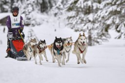 Kandersteg 2014 WM