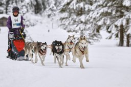 Kandersteg 2014 WM