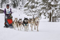 Kandersteg 2014 WM