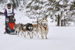 Kandersteg 2014 WM