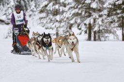 Kandersteg 2014 WM