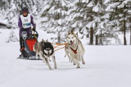 Kandersteg 2014 WM