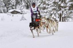 Kandersteg 2014 WM