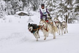 Kandersteg 2014 WM