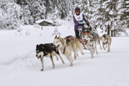 Kandersteg 2014 WM