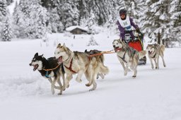 Kandersteg 2014 WM