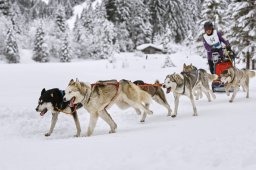 Kandersteg 2014 WM