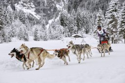 Kandersteg 2014 WM