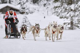 Kandersteg 2014 WM