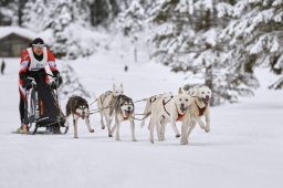 Kandersteg 2014 WM