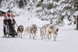 Kandersteg 2014 WM