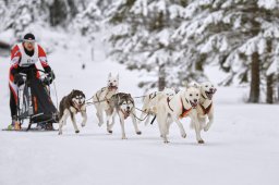 Kandersteg 2014 WM