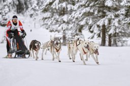 Kandersteg 2014 WM