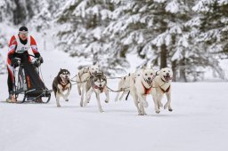 Kandersteg 2014 WM