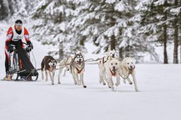 Kandersteg 2014 WM