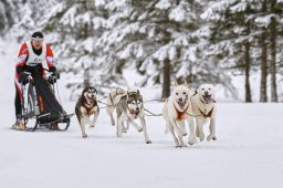 Kandersteg 2014 WM