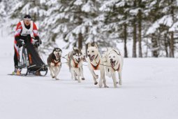 Kandersteg 2014 WM