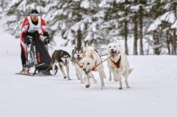 Kandersteg 2014 WM