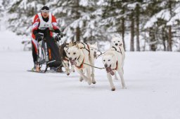 Kandersteg 2014 WM