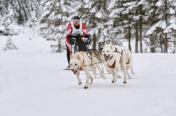 Kandersteg 2014 WM